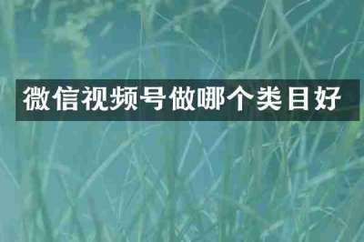 微信视频号做哪个类目好