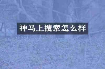 神马上搜索怎么样