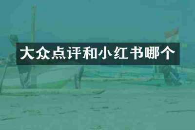 大众点评和小红书哪个