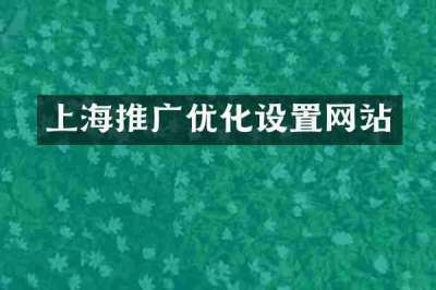 上海推广优化设置网站