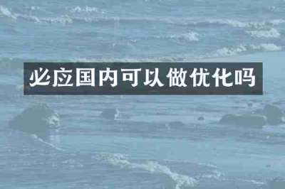 必应国内可以做优化吗