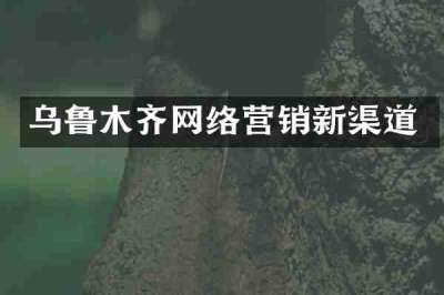 乌鲁木齐网络营销新渠道
