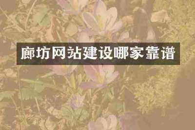 廊坊网站建设哪家靠谱