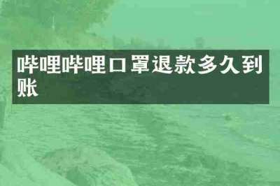 哔哩哔哩口罩退款多久到账