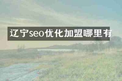 辽宁seo优化加盟哪里有
