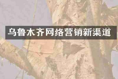 乌鲁木齐网络营销新渠道