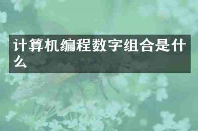 计算机编程数字组合是什么