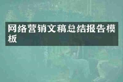 网络营销文稿总结报告模板