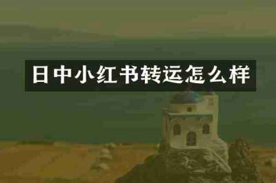 日中小红书转运怎么样