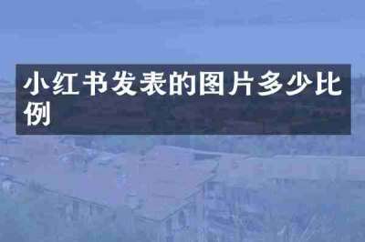 小红书发表的图片多少比例