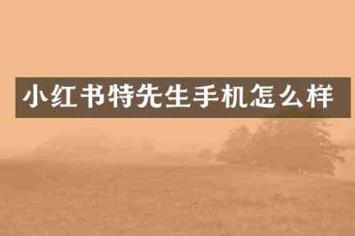 小红书特先生手机怎么样