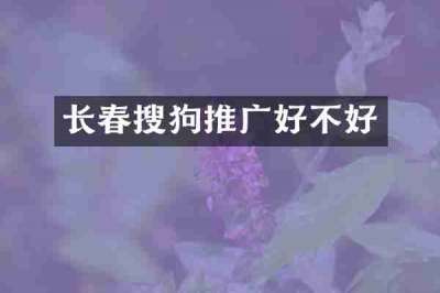 长春搜狗推广好不好