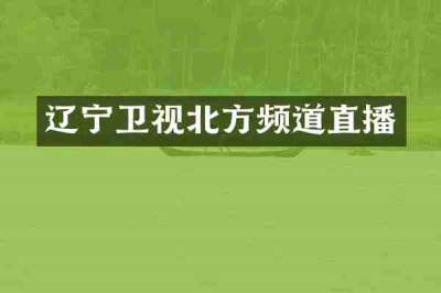辽宁卫视北方频道直播