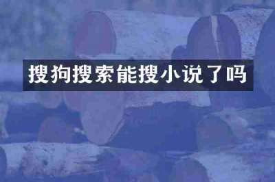搜狗搜索能搜小说了吗