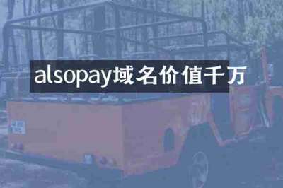 alsopay域名价值千万