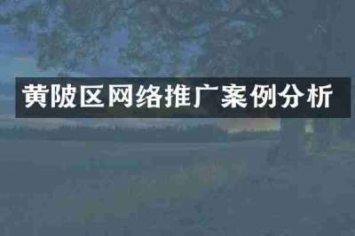 黄陂区网络推广案例分析