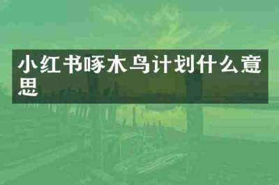 小红书啄木鸟计划什么意思