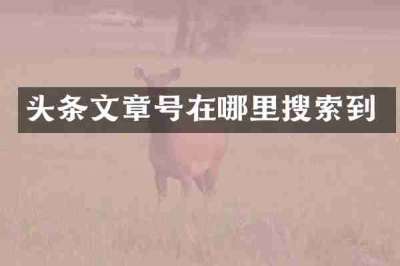 头条文章号在哪里搜索到