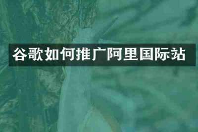 谷歌如何推广阿里国际站