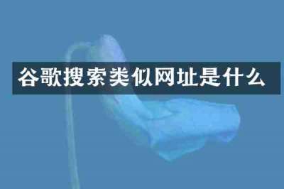 谷歌搜索类似网址是什么