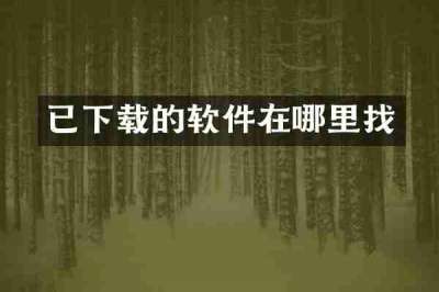 已下载的软件在哪里找