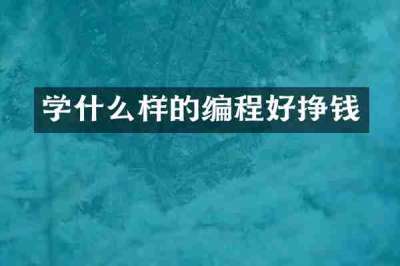 学什么样的编程好挣钱