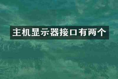 主机显示器接口有两个