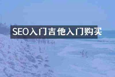 SEO入门吉他入门购买