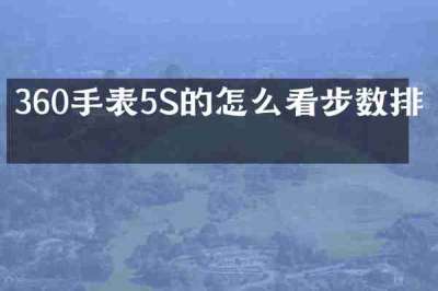 360手表5S的怎么看步数排名