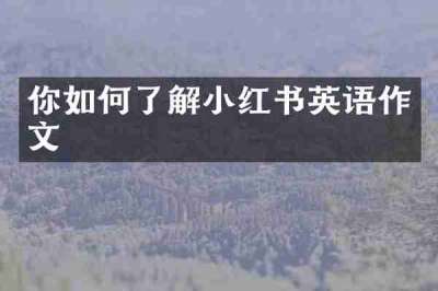 你如何了解小红书英语作文