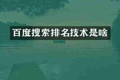 百度搜索排名技术是啥