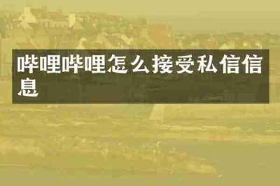 哔哩哔哩怎么接受私信信息