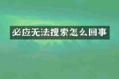 必应无法搜索怎么回事