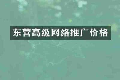 东营高级网络推广价格