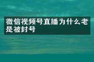 微信视频号直播为什么老是被封号
