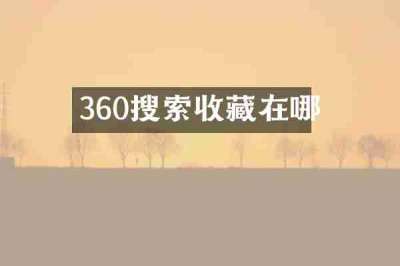 360搜索收藏在哪