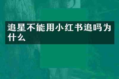 追星不能用小红书追吗为什么