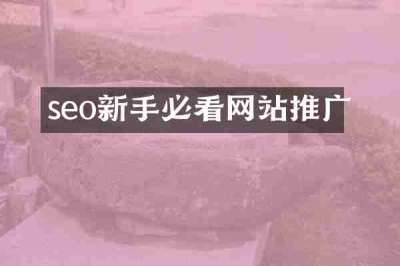 seo新手必看网站推广