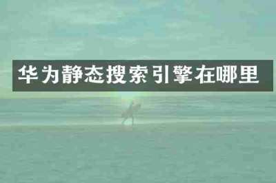 华为静态搜索引擎在哪里
