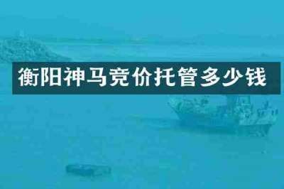 衡阳神马竞价托管多少钱