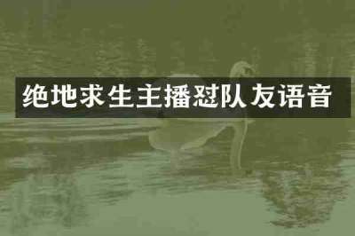 绝地求生主播怼队友语音