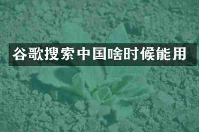 谷歌搜索中国啥时候能用