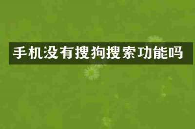 手机没有搜狗搜索功能吗