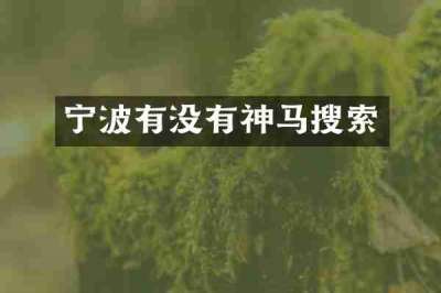宁波有没有神马搜索
