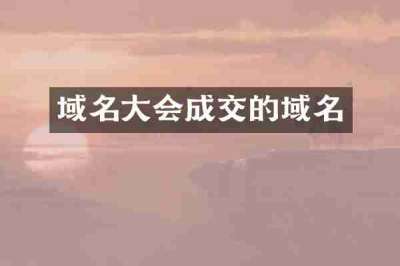 域名大会成交的域名