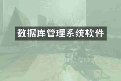 数据库管理系统软件