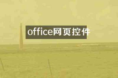 office网页控件
