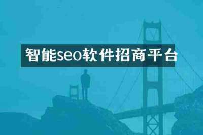智能seo软件招商平台