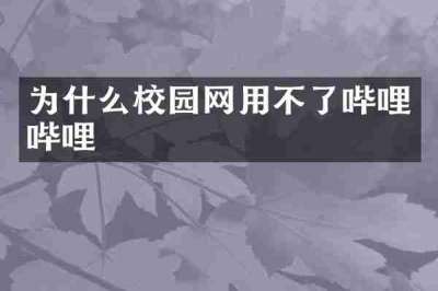 为什么校园网用不了哔哩哔哩