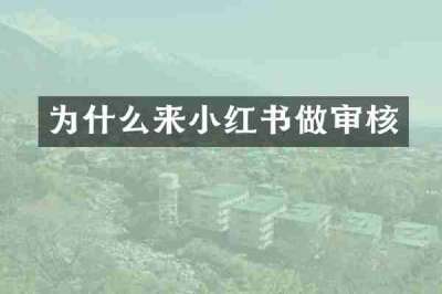 为什么来小红书做审核